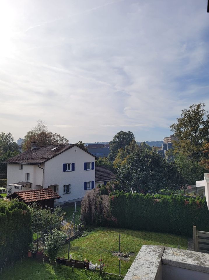 Gepflegtes Reihenhaus in Wohlen AG