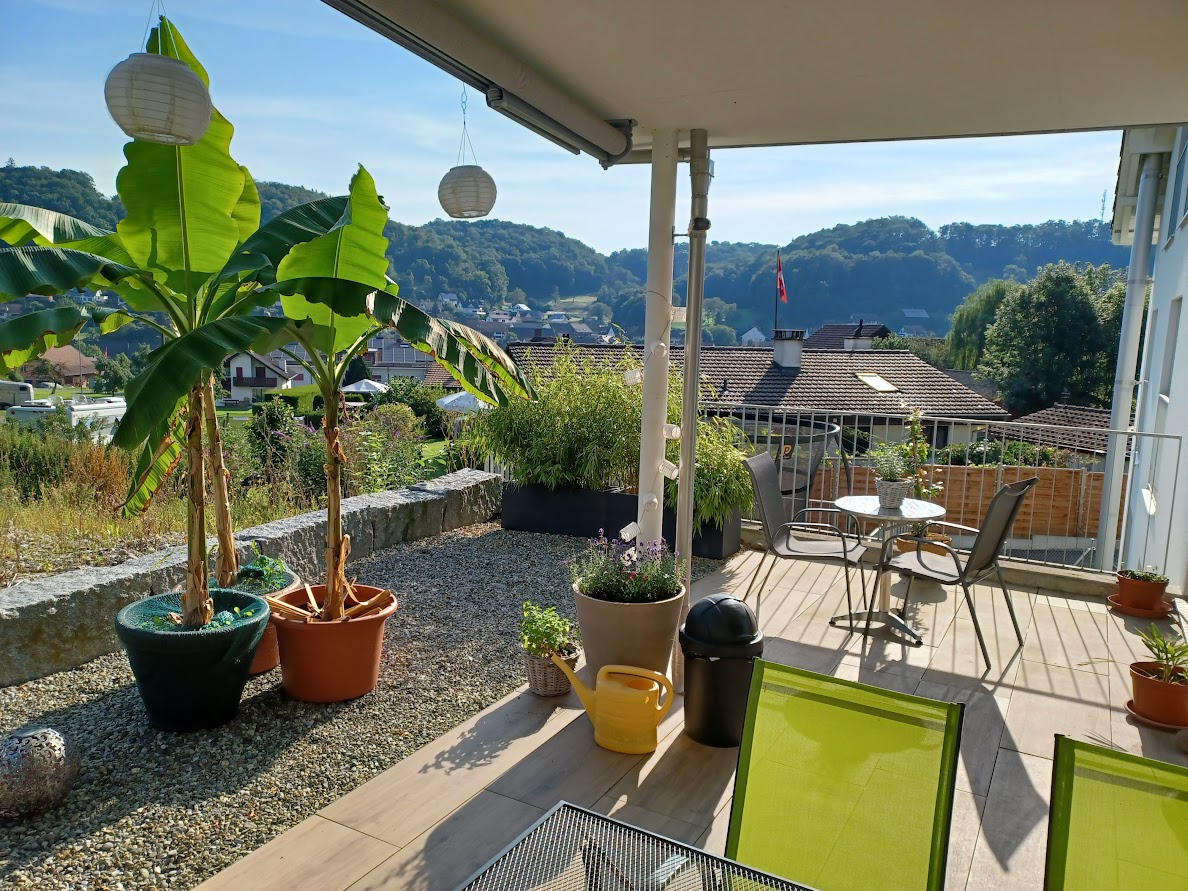 002_Terrasse Grosszügige 3.5-Zimmer-Wohnung mit Terrasse in Hellikon
