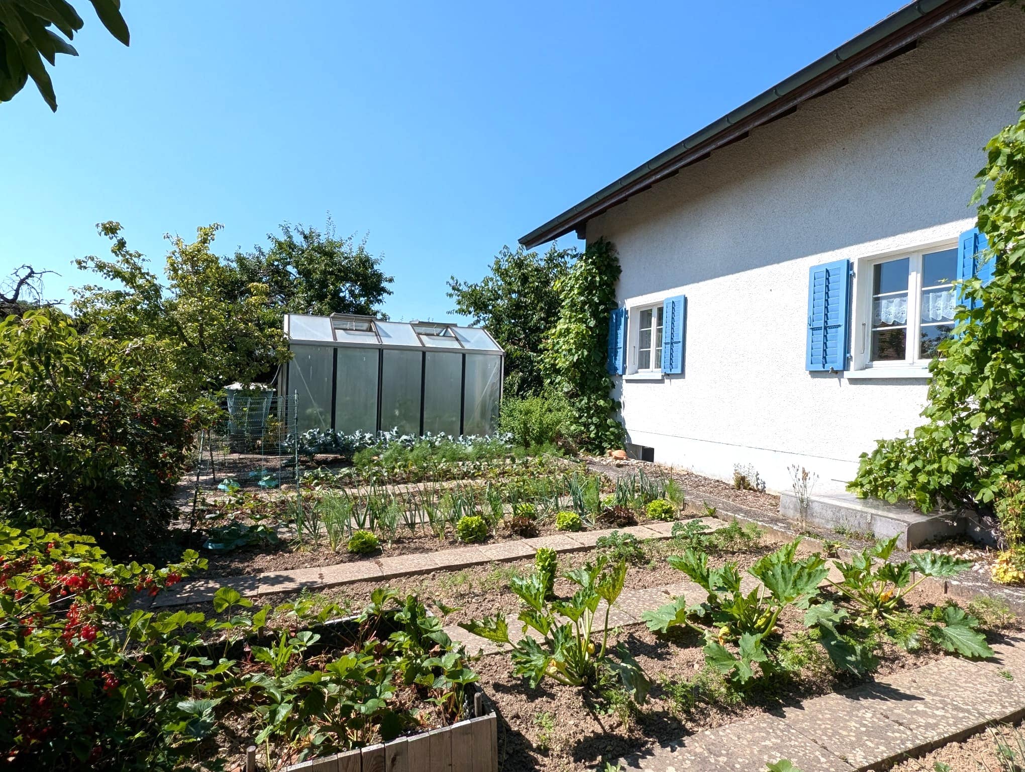 Freistehendes 5.5-Zimmer-Einfamilienhaus mit grossem Garten und herrlicher Weitsicht