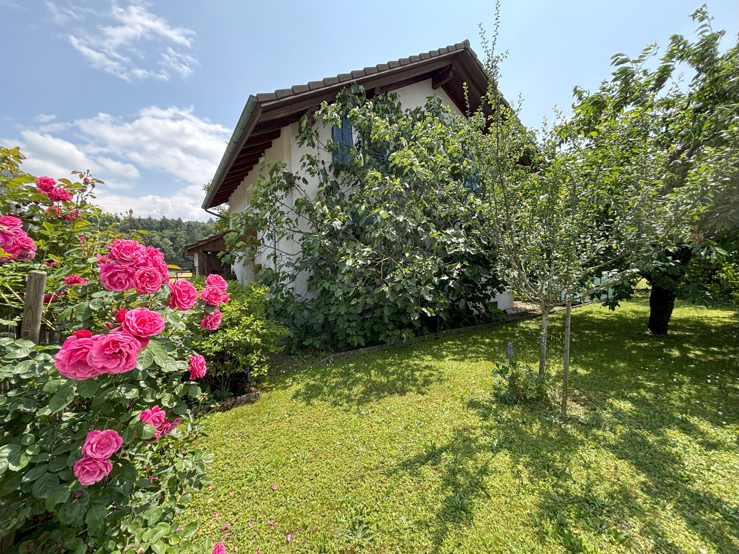 Freistehendes 5.5-Zimmer-Einfamilienhaus mit grossem Garten und herrlicher Weitsicht